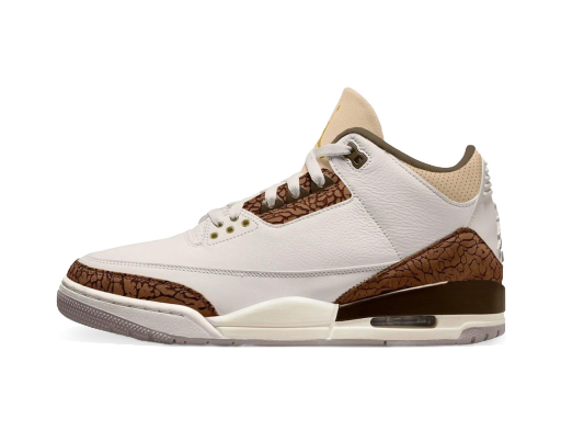 Sneakers och skor Jordan Air Jordan 3 Retro "Palomino" Brun | CT8532-102