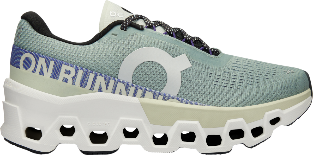 Sneakers och skor On Running Cloudmonster 2 Grå | 3we10112078, 0
