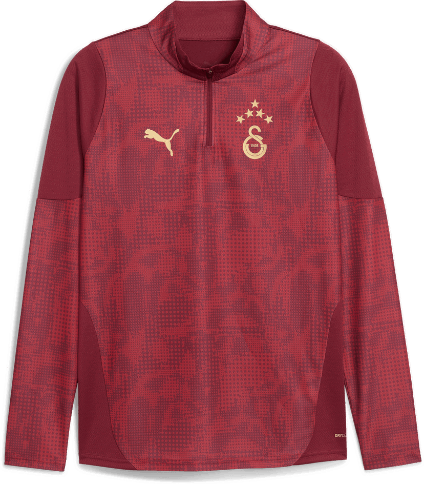 Sweatshirt Puma Galatasaray SK Training Long-Sleeve 1/4 Zip Top with Star Logo Bourgogne | 949103-003