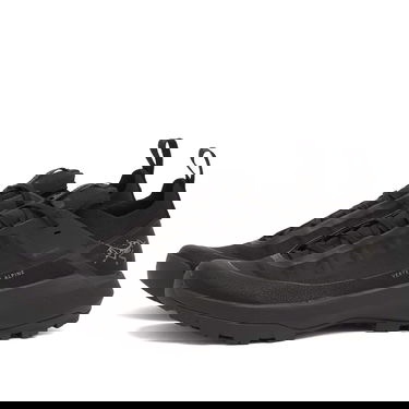 Sneakers och skor Arcteryx Vertex Alpine Gore-Tex Svart | X000009602-021572, 2