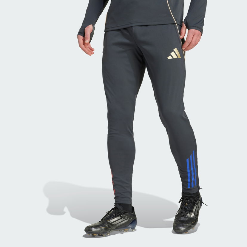 Träningsbyxor adidas Performance Olympique Lyon Tiro 25 Competition Training Pants Grå | JL7707
