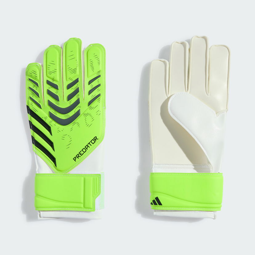 Handskar adidas Performance Predator Training Goalkeeper Gloves Grön | JN5362