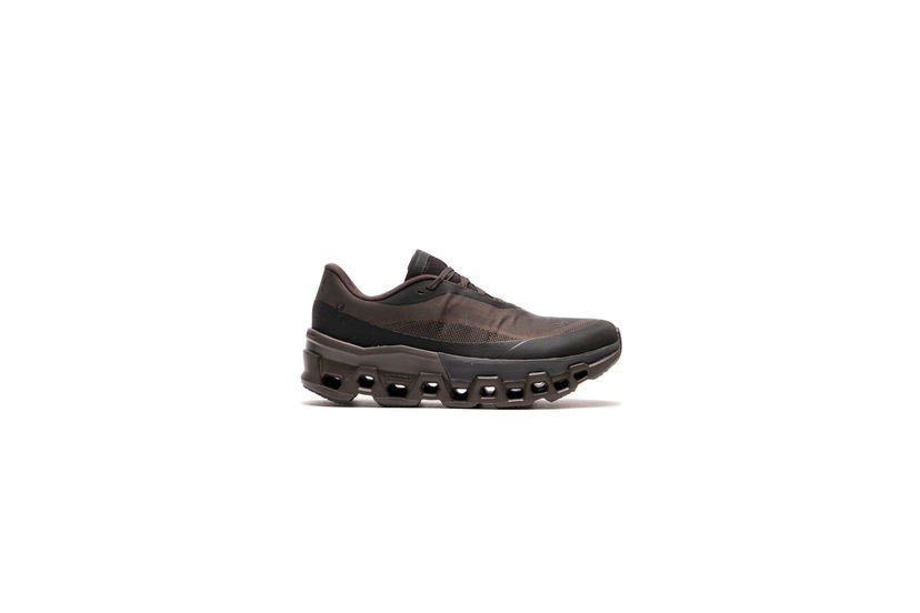 Sneakers och skor On Running On Running x PAF Cloudmonster 2 Brun | 3WE10353940