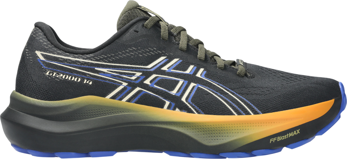 Sneakers och skor Asics GT-2000 14 GTX Svart | 1011c058-001, 0