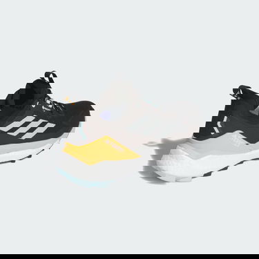 Sneakers och skor adidas Performance Terrex Free Hiker 2.0 Low GORE-TEX Hiking Svart | IG5460, 5