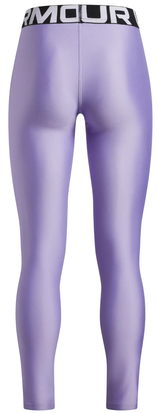Damasker Under Armour HG Performance Legging Purpur | 1390069-538, 1