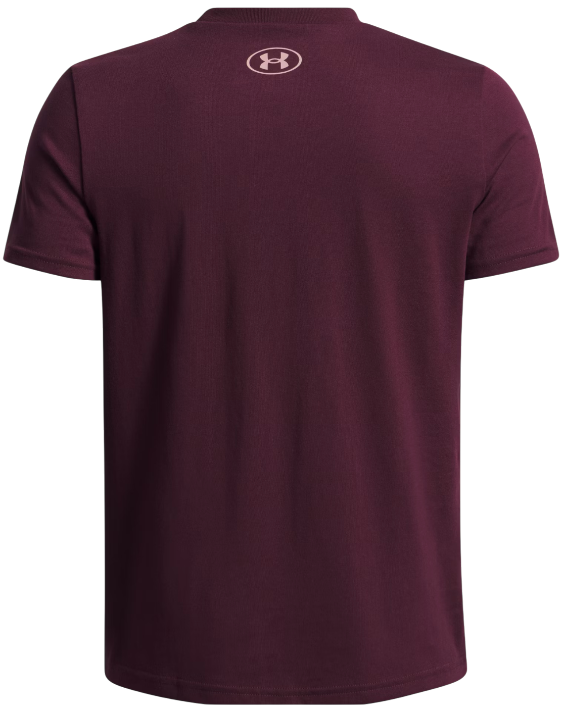 T-shirt Under Armour Logo Wordmark Short Sleeve T-Shirt Bourgogne | 1389963-600, 1