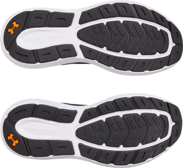 Sneakers och skor Under Armour UA Charged Rogue 5 Svart | 3028256-003, 2