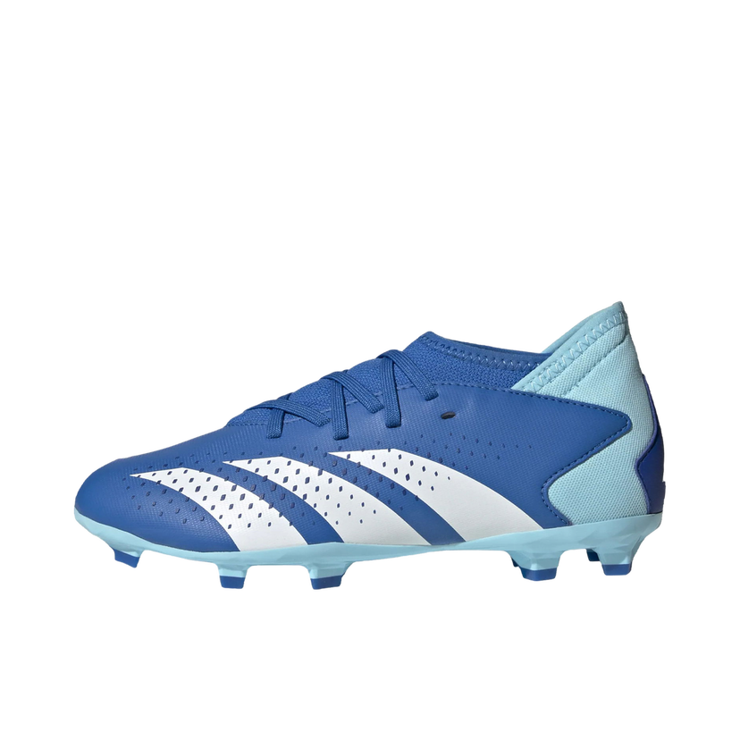 Sneakers och skor adidas Performance Predator Accuracy.3 FG Blå | ie9503