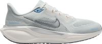 Pegasus 41
