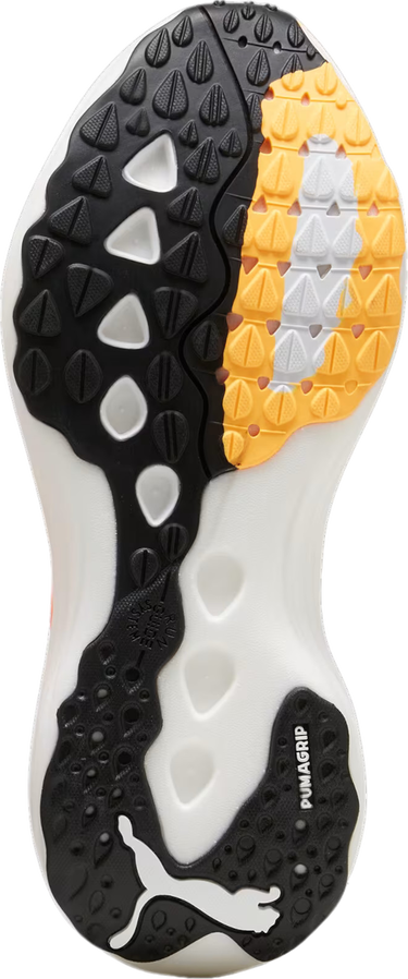 Sneakers och skor Puma ForeverRun NITRO Grå | 377757-25, 1