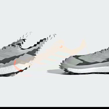 Sneakers och skor adidas Performance Terrex Free Hiker 2.0 Low GORE-TEX Beige | IG3202, 6