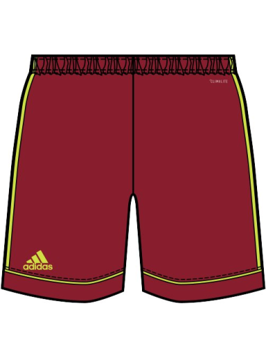 Shorts adidas Performance Squadra 17 Shorts Bourgogne | cf0394