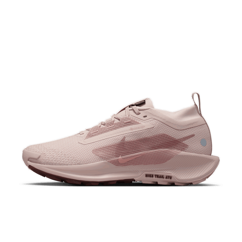 Löpning Nike Pegasus Trail 5 GTX Rosa | FQ0912-601