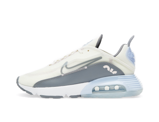 Sneakers och skor Nike Air Max 2090 Brun | CT1290-101