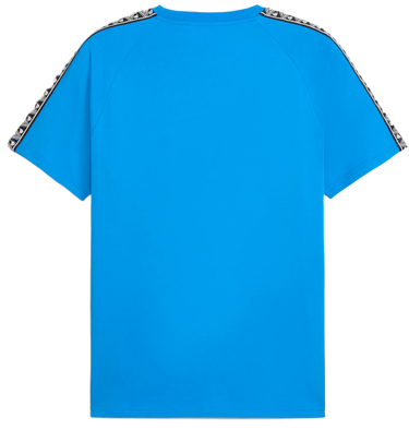 T-shirt Puma Puma teamKING T-Shirt Blå | 660532-02, 1