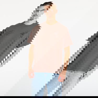 T-shirt Nike NSW Wings Victory Short Sleeve Graphic T-Shirt Brun | HV0167-004, 4