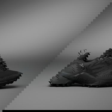 Sneakers och skor adidas Performance Terrex Swift R3 GTX Svart | IE7634, 0