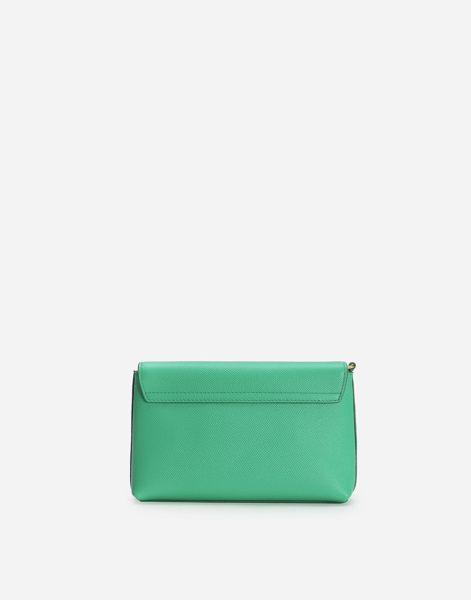 Handväska Dolce & Gabbana Dolce & Gabbana Pet Carrier Grön | BD0020A64538H520, 1