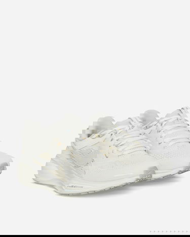 Sneakers och skor Nike Air Zoom Pegasus 41 "Ivory & Coconut Milk" Vit | HQ6025-100, 2