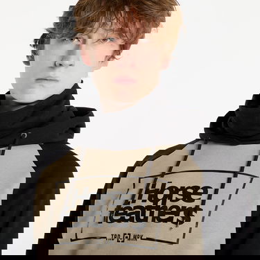 Sweatshirt Horsefeathers Raglan Sleeve Graphic Hoodie Sherman Flerfärgad | SM1166L, 4