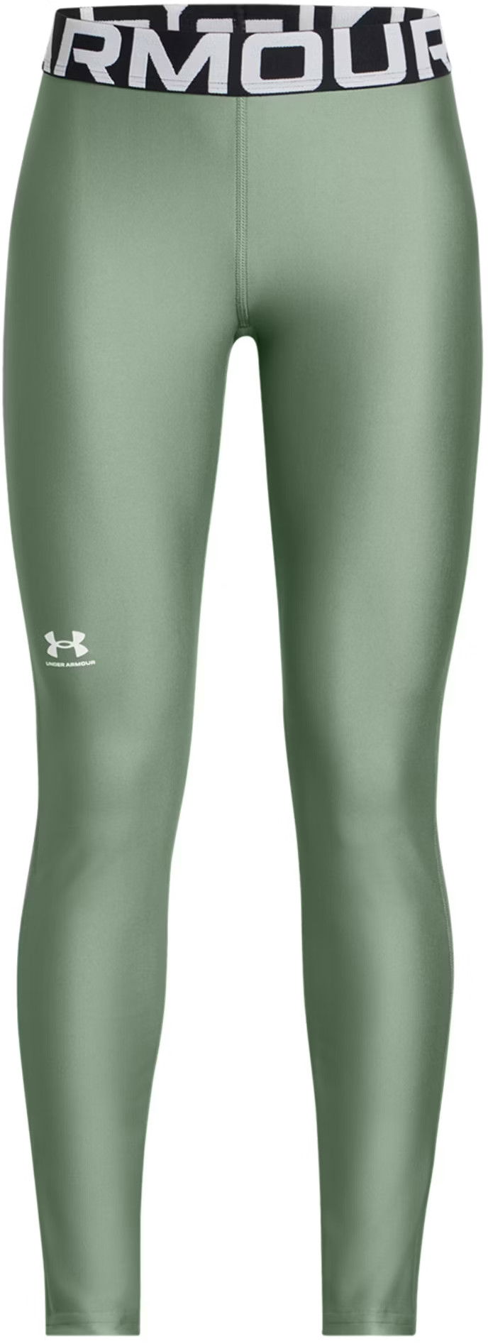Damasker Under Armour Under Armour HG Leggings Grön | 1390069-348