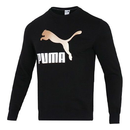 Sweater Puma PUMA Bronzing Logo Pullover Svart | 535278-01