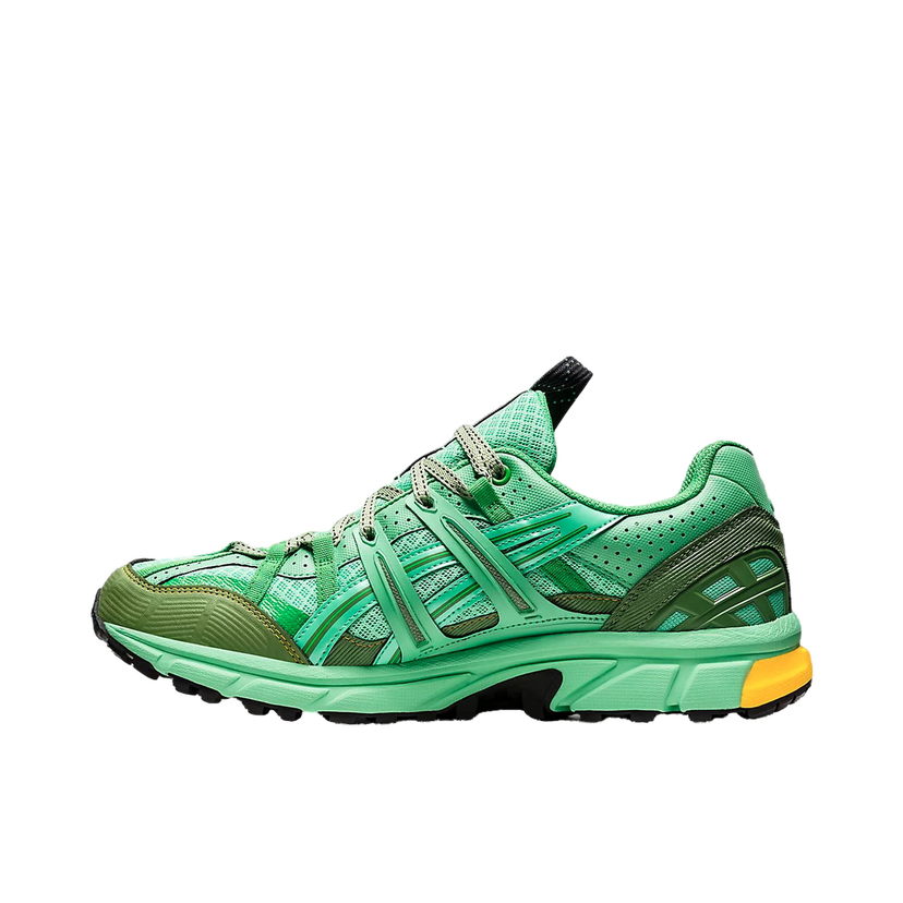Löpning Asics GEL-Sonoma 15-50 GTX Grön | 1201A440-300