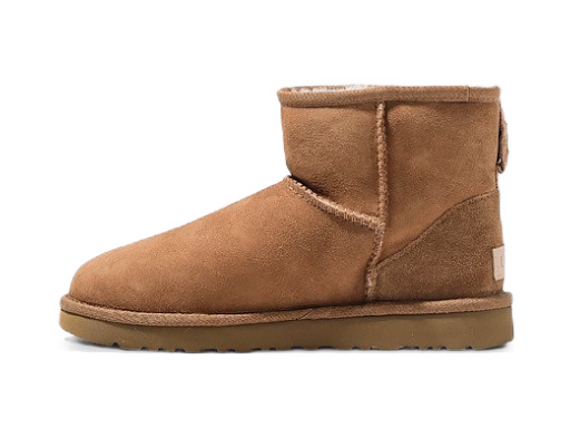 Sneakers och skor UGG Classic Mini II Chestnut Beige | 1016222CHE