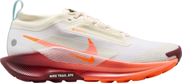 Sneakers och skor Nike Pegasus Trail 5 GORE-TEX Vit | fq0912-104, 0