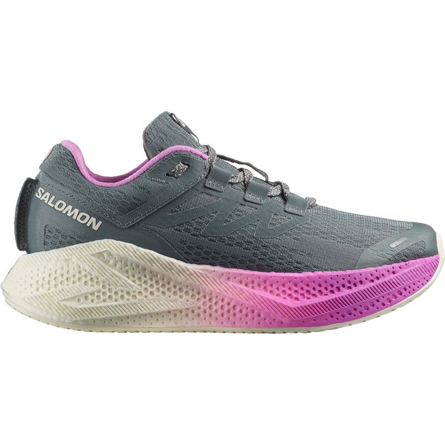 Sneakers och skor Salomon Aero Glide 3 Flerfärgad | L47975800