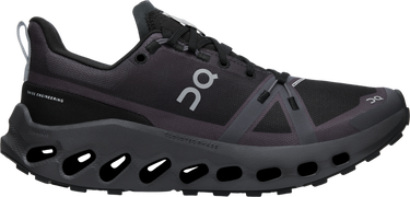 Sneakers och skor On Running Cloudsurfer Trail Waterproof Svart | 3we10290106, 0
