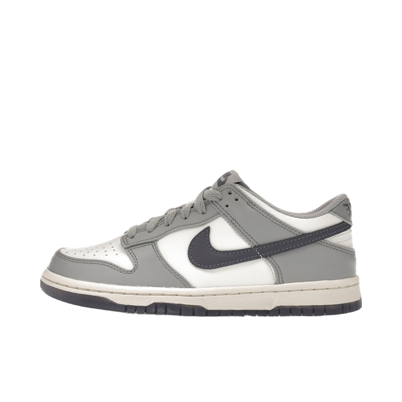 Sneakers och skor Nike Dunk Low Grå | FB9109-101