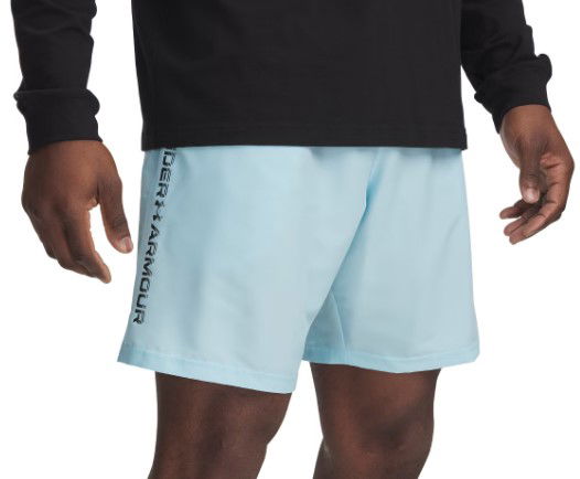 Shorts Under Armour UA Tech Woven Wordmark Shorts Blå | 1383356-494