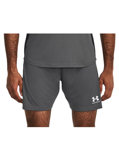 Shorts Under Armour UA Challenger Knit Grå | 1379507-025