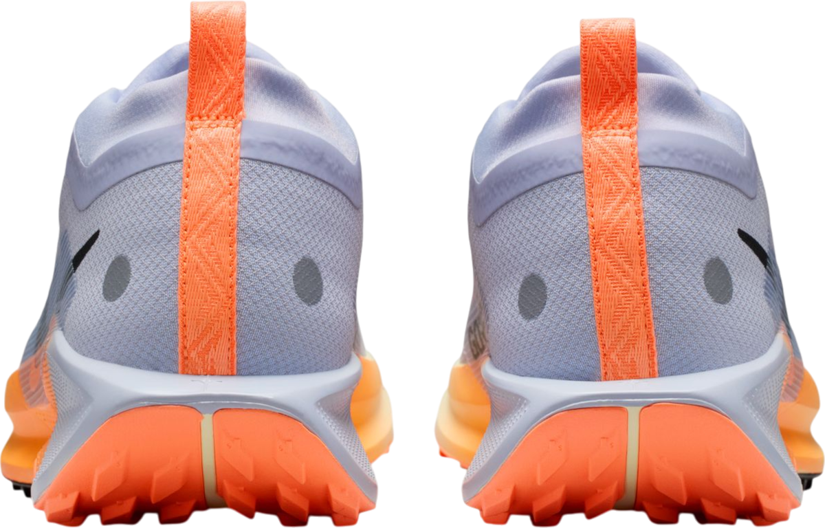 Sneakers och skor Nike Pegasus Trail 5 GORE-TEX Flerfärgad | fq0908-011, 1