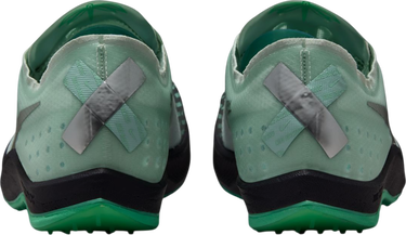 Sneakers och skor Nike Dragonfly XC Grön | dx7992-300, 1