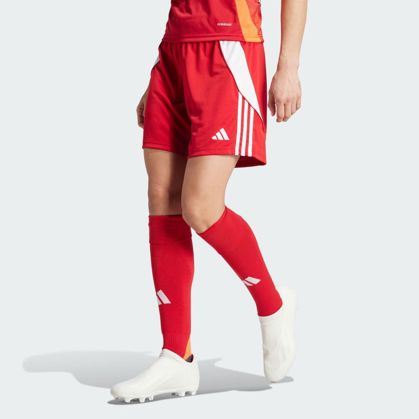 Shorts adidas Performance Tiro 24 Röd | IR9373
