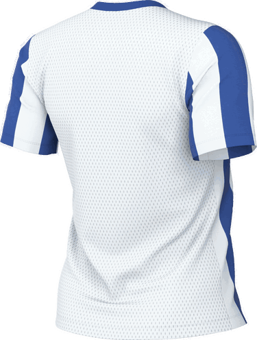 Jersey Nike Striped Division V V-Neck Jersey with Mesh Panels Flerfärgad | fz9339-101, 1