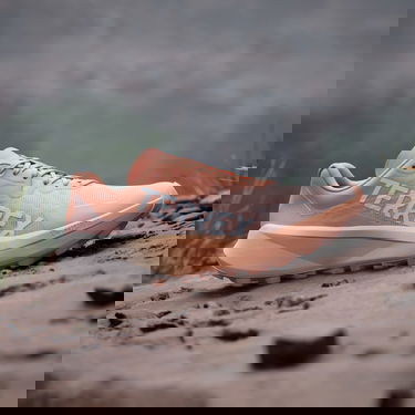 Sneakers och skor adidas Performance Terrex Agravic 3 Trail Running Orange | IG6582, 1