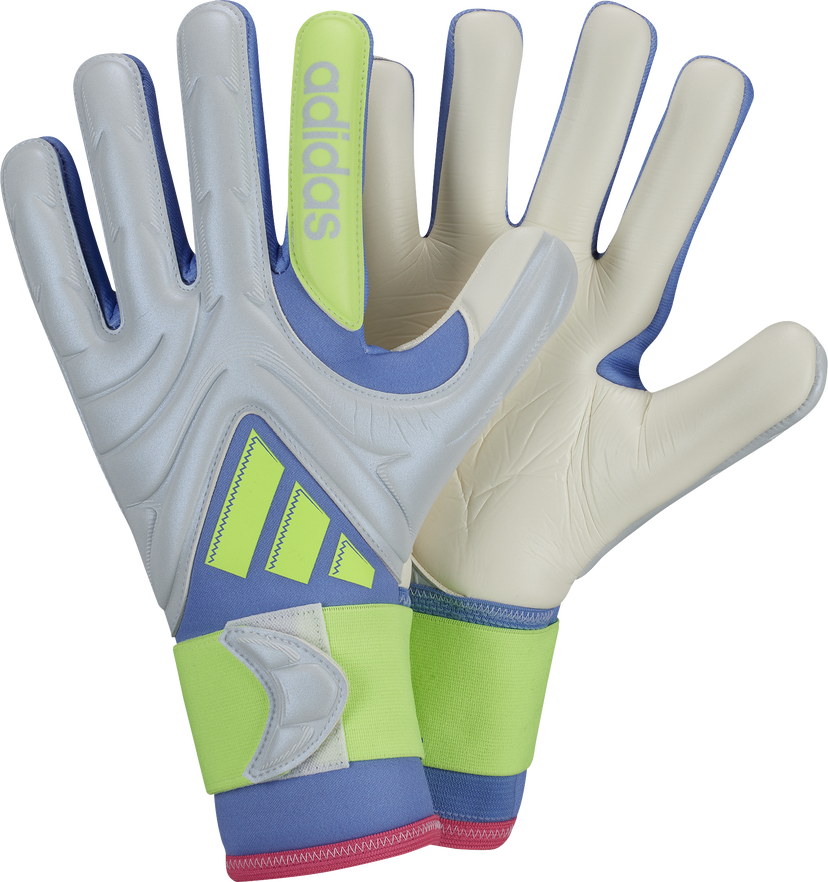 Sportutrustning adidas Originals COPA GL PRO Goalkeeper Gloves Grå | jh3787