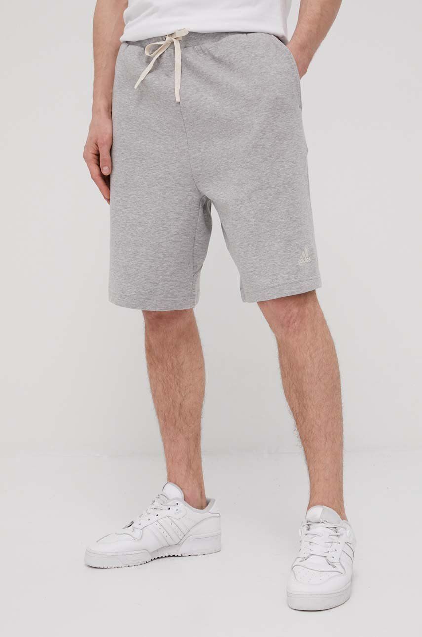 Shorts adidas Performance adidas Performance HB0480 Shorts Grå | HB0480, 0