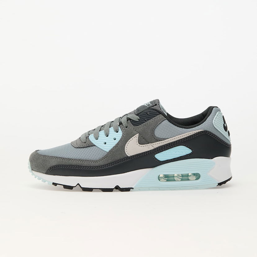 Sneakers och skor Nike Air Max 90 Light Grå | DM0029-009