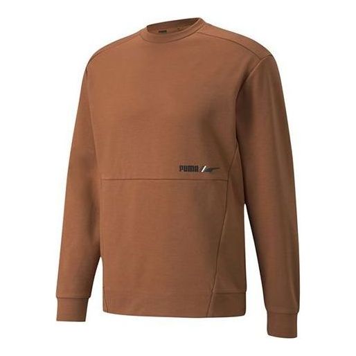 Sweater Puma Winterized Crew Logo Sweatshirt Brun | 846545-17