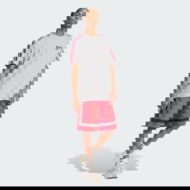 T-shirt adidas Performance Adicolor Adibreak Grå | IR7995, 4