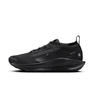 Sneakers och skor Nike Pegasus Trail 5 GORE-TEX Svart | FQ0912-002, 1