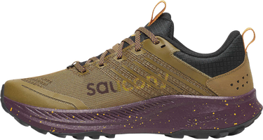 Sneakers och skor Saucony Saucony RIDE TR2 Brun | s20951-247, 1