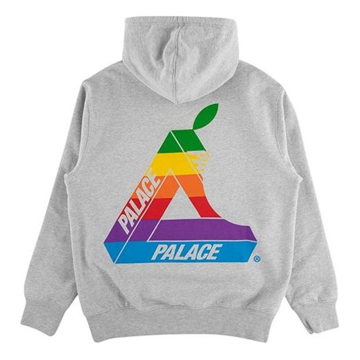 Sweatshirt Palace Palace Jobsworth Hoodie Grå | P16HD001