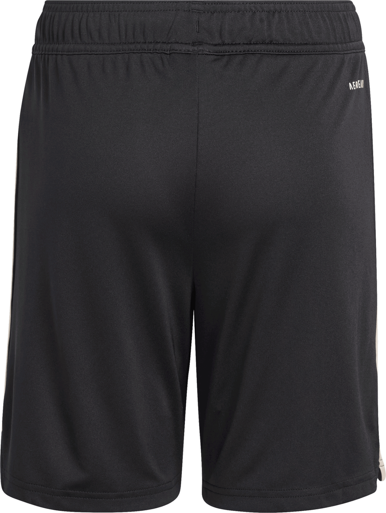 Shorts adidas Performance FC Bayern 25/26 Shorts Svart | JN8523, 1