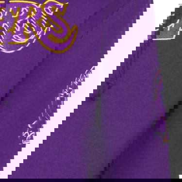 Sweatshirt Mitchell & Ness NBA LA Lakers Team Origins Fleece Hoodie Purple - Purpur | FPHD4849-LALYYPPPPURP, 2